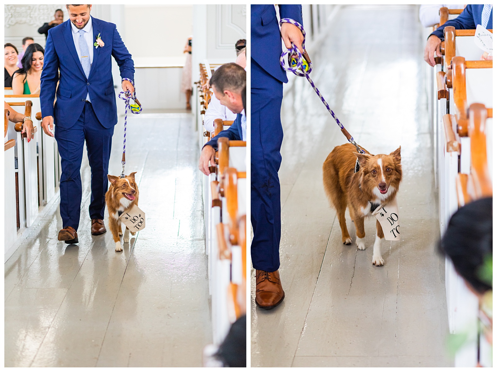 two images. one of groom walking dog down aisle and another of closeup of dog